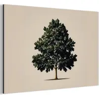 MuchoWow Aluminium schilderij 120x80 cm - Wanddecoratie metaal - Eikenboom - Schaduw - Egaal - Metalen muurdecoratie woonkamer - Decoratie industrieel - Foto op dibond - Industriële accessoires slaapkamer