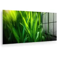 MuchoWow Glasschilderij 120x60 cm - Schilderij acrylglas - Grassprieten - Lichtinval - Groen - Foto op glas - Muurdecoratie woonkamer - Wanddecoratie slaapkamer - Schilderijen