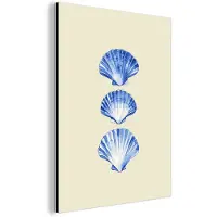 MuchoWow Aluminium schilderij 30x40 cm - Wanddecoratie metaal - Schelpen - Blauw - Beige - Metalen muurdecoratie woonkamer - Decoratie industrieel - Foto op dibond - Industriële accessoires slaapkamer