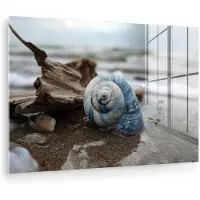MuchoWow Glasschilderij 120x80 cm - Schilderij acrylglas - Schelp - Strand - Blauw - Zee - Foto op glas - Muurdecoratie woonkamer - Wanddecoratie slaapkamer - Schilderijen