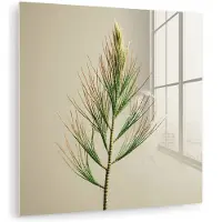 MuchoWow Glasschilderij 90x90 cm - Schilderij acrylglas - Dennentak - Naaldvormige bladeren - Lichtgroen - Foto op glas - Muurdecoratie woonkamer - Wanddecoratie slaapkamer - Schilderijen
