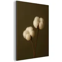 MuchoWow Aluminium schilderij 60x80 cm - Wanddecoratie metaal - Takken - Katoen - Wit - Bollen - Metalen muurdecoratie woonkamer - Decoratie industrieel - Foto op dibond - Industriële accessoires slaapkamer