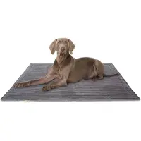 Knuffelwuff Cord Hondenkleed Timor 120x80cm Grijs