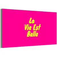 MuchoWow Aluminium schilderij 40x20 cm - Wanddecoratie metaal - Quote - Retro - Roze - Metalen muurdecoratie woonkamer - Decoratie industrieel - Foto op dibond - Industriële accessoires slaapkamer