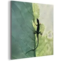 MuchoWow Aluminium schilderij 20x20 cm - Wanddecoratie metaal - Hagedis - Blad - Nerven - Groen - Metalen muurdecoratie woonkamer - Decoratie industrieel - Foto op dibond - Industriële accessoires slaapkamer