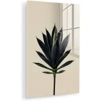 MuchoWow Glasschilderij 100x150 cm - Schilderij acrylglas - Agaveplant - Symmetrisch - Groen - Foto op glas - Muurdecoratie woonkamer - Wanddecoratie slaapkamer - Schilderijen