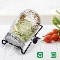 Bedee 1000 ml glazen kiempot met brede opening - Mason Jar - Set kiemglazen - Voor het kweken van broccoli, alfalfa en sperziebonen