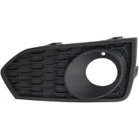 BLIC 6502-07-0069920P Ventilatiegrille, bumper