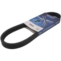 DAYCO Hp3038 Transmissie Riem