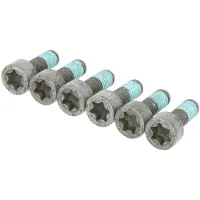 SACHS Schroevenset vliegwiel 1874 000 046