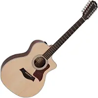 Taylor Guitars Taylor 254ce Plus 12-String Natural