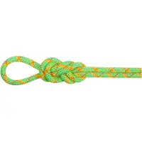 Mammut - 8.0 Alpine Core Protect Dry Rope - Halftouw 50 m, groen