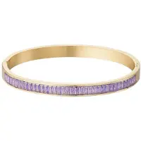 Yehwang Armband - Bracelet - Goudkleurig - Paarse Zircon - Stainless Steel
