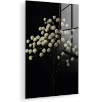 MuchoWow Glasschilderij 120x180 cm - Schilderij acrylglas - Gipskruid - Bloemetjes - Wit - Minimalistisch - Foto op glas - Muurdecoratie woonkamer - Wanddecoratie slaapkamer - Schilderijen
