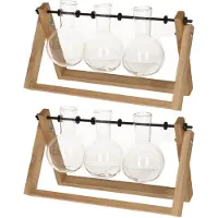 Esschert Design Stekvaasjes in houder - 2x stuks - hout - met 3 glazen vaasjes - 26 x 7 x 15 cm - stekstation