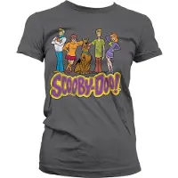 Scooby Doo Team- -T-shirt in distressed-stijl voor dames, donkergrijs