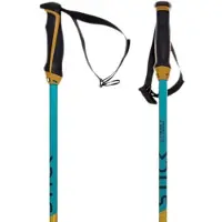 Völkl Phantastick Junior Stokken