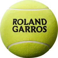 Wilson Grote tennisbal Wilson Roland Garros 9" Jumbo Yellow