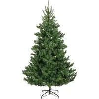 Everlands Alba Fir - 180 cm