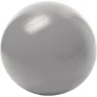 Togu zitbal ABS Zilver / XL (75cm)