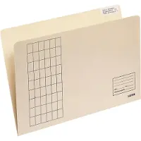 Leitz Hangmappen Alpha Chamois Kraftkarton 31 x 23 cm 100 Stuks