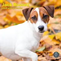 Baker & Bray Jack Russell Terrier Kalender 2027