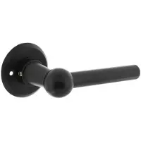 Intersteel Deurkruk L/L Bol op rozet - mat zwart