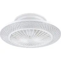 Eglo Plafondventilator Malinska wit Ø 55cm