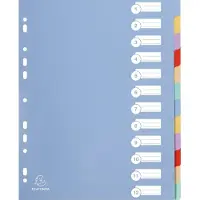 Exacompta 15x Tabbladen in stevige Ondoorzichtige PP - 12 tabs - A4 maxi - Geassorteerd - 4812E