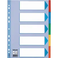 Leitz Tabbladen Standaard A4 5-delig karton 11-rings met voorblad assorti | 20 stuks