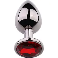 PLGZ - Rosebud Metalen Buttplug - Zwart Metallic - Rode Siersteen - Verkrijgbaar in 3 maten Medium