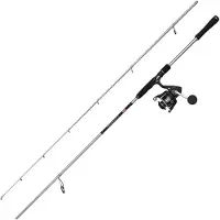 Penn Pursuit V Inshore Spinning Combo Zilver 2.29 m / 20-60 g