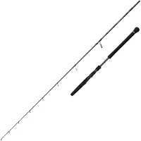 Savage Gear Defiance Sg2 Light Light Jigging Rod Zilver 1.80 m / 80 g