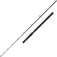 Savage Gear Fury Sg2 Halibut Bottom Shipping Rod Zilver 1.90 m / 800 g