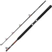 Penn Warfare Ii Boat Jigging Rod Zilver 1.83 m / 30 Lbs