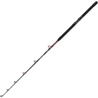 Penn Warfare Ii Trolling Rod Zilver 1.70 m / 30-50 Lbs