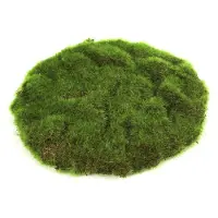 Countryfield Kunstmos Mat Ierland D 22 H 2 Cm