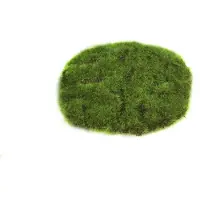 Countryfield Kerstdorp Ondergrond Groen D 14 H 2 Cm