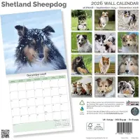 Baker & Bray Shetland Sheepdog Kalender 2027
