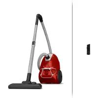 Rowenta RO3923EA Hygiene+ - Stofzuiger met Zak - Compact - Geschikt voor Allergieën - Stille Prestaties
