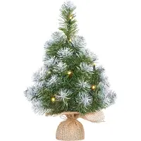 Black Box Mini Kunstkerstboom Norton Besneeuwd Op Jute Voet Met 10 Lampjes Warm Wit D 28 H 45 Cm
