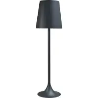 Masterlight Design Vloerlamp Trip 60 Disk 195cm Zwart