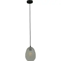 Masterlight Zwarte pendel hanglamp Pineapple met helderglas