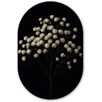 MuchoWow Muurovaal 80x120 cm - Ovale wanddecoratie Gipskruid - Bloemetjes - Wit - Minimalistisch - Ovalen schilderij - Muurdecoratie woonkamer - Kamer decoratie - Schilderijen - Wandcirkel
