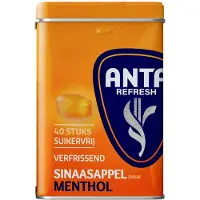 Anta Refresh Sinaasappel (12x 72g)