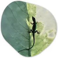 MuchoWow Organische wanddecoratie 90x90 cm - Organisch schilderij Hagedis - Blad - Nerven - Groen - Muurdecoratie woonkamer - Kamer decoratie - Schilderijen - Muurcirkel aesthetic