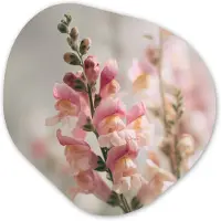 MuchoWow Organische wanddecoratie 60x60 cm - Organisch schilderij Bloem - Leeuwenbek - Roze - Stengel - Muurdecoratie woonkamer - Kamer decoratie - Schilderijen - Muurcirkel aesthetic