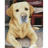 Diamond Dotz diamant painting - labrador - 48x58cm - squares