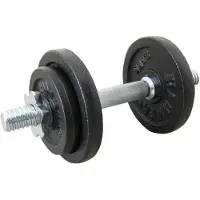 FINNLO 10kg Dumbbell Set Zilver 10 kg