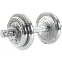 FINNLO 10kg Dumbbell Set Zilver 10 kg